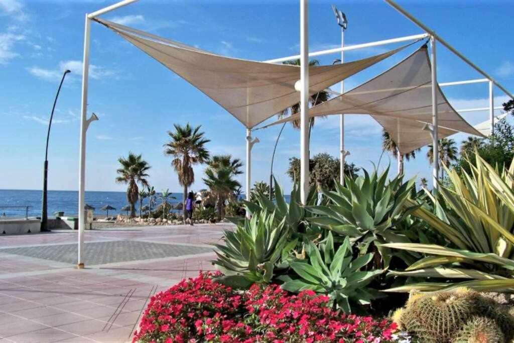 XV Apartamentos Morales & Arnal إِستيبونا المظهر الخارجي الصورة